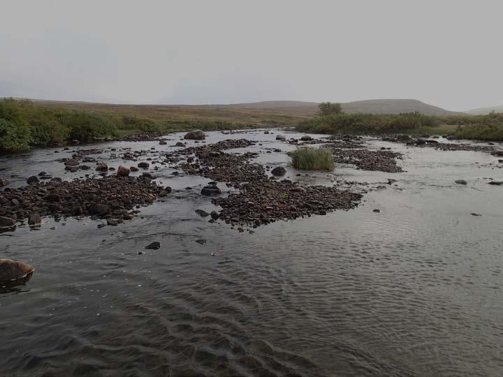 Figur 5. Flere store områder egnet til gyting er strandingsutsatt i restfeltet i Kongsfjordelva.