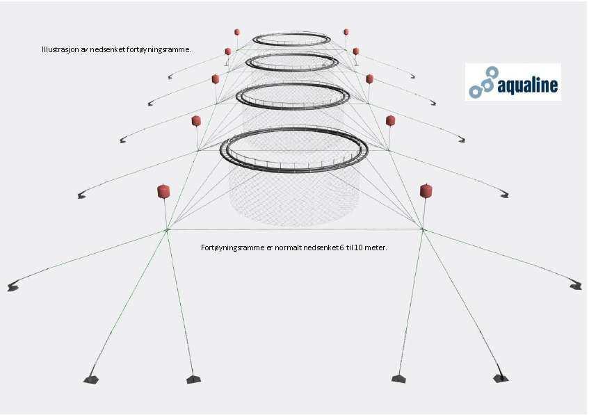 Vedlegg 6.1.3 Anleggsskisse Illustrasjon av anlegg. Fra bøyene er det normalt 6-10 meter ned til ramma. Haneføttene skrår oppover fra ramma til flytekragene.