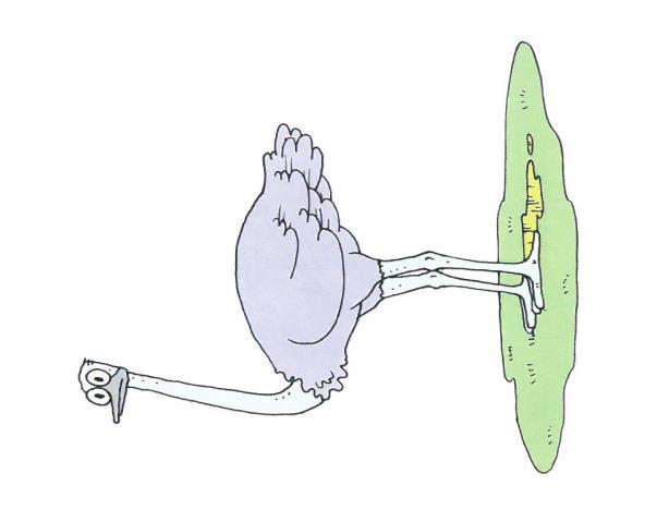 BEKKENBUNNSTRENING ETTER RADICAL PROSTATECTOMI BEHANDLINGSRELATERTE KONSEKVENSER: INKONTINENS OG EREKSJONSSVIKT EFFEKT AV BEKKENBUNNSTRENING ETTER RADICAL PROSTATECTOMI - TIDLIGERE KONTINENT ETTER