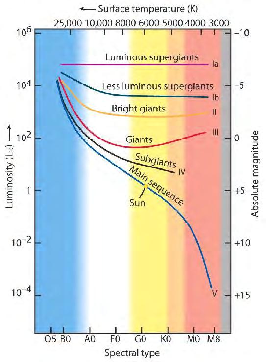 Luminositetsklasser: - Sterke superkjemper Ia - Superkjemper Ib - Sterke kjemper II - Kjemper III