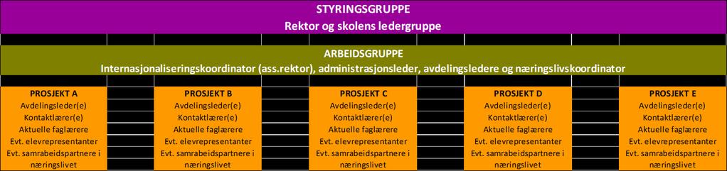 INTERNASJONALT HANDLINGSPROGRAM Organisering av