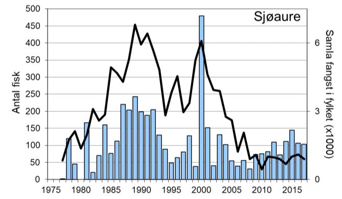 Fem av dei sju siste åra har fangstane vore 1100 laks eller meir. I perioden 1977-2017 vart det i snitt fanga 114 sjøaure per år.