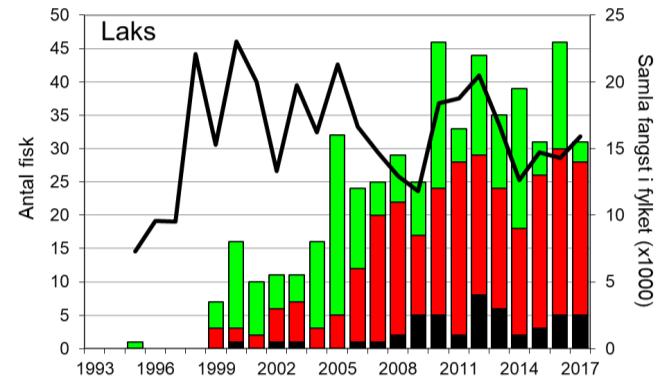 Skjel 2017 Fangststatistikk FANGST OG SKJELPRØVAR I LYSEELVA Gjennomsnittleg årsfangst av laks i perioden 1995-2017 var 26 laks (snittvekt 3,7 kg).