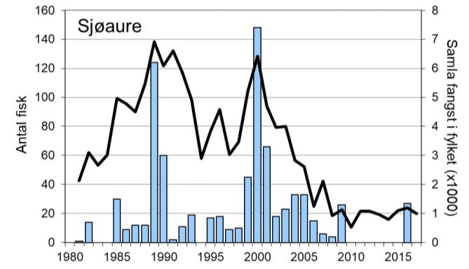 Fangstane av sjøaure har også variert mykje, med ein rekordfangst i 2000 på 148 fisk. Sjøauren har vore freda sidan 2010.