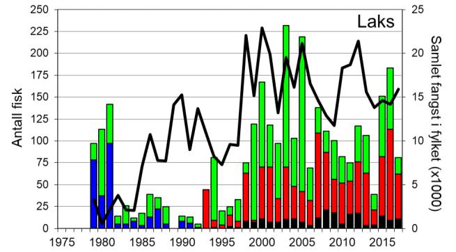 Skjel 2017 Fangststatistikk FANGST OG SKJELPRØVAR I ULLA Gjennomsnittleg årsfangst i perioden 1975-2017 var 83 laks (snittvekt 3,6 kg) og 16 sjøaure (snittvekt 1 kg).