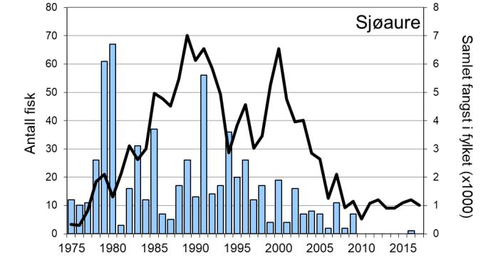 Etter ein brukbar laksefangst i 2007 gjekk det jamt nedover, og det oppsvinget ein såg i dei fleste andre elvane i Rogaland i 2010 skjedde ikkje i Ulla (figur 1, linje).