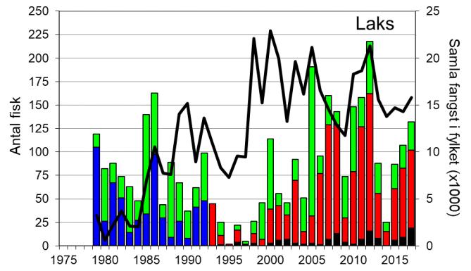 Skjel 2017 FANGST OG SKJELPRØVAR I HÅLANDSELVA Fangststatistikk Gjennomsnittleg årsfangst av laks i perioden 1979-2017 var 85 (snittvekt 3,7 kg).