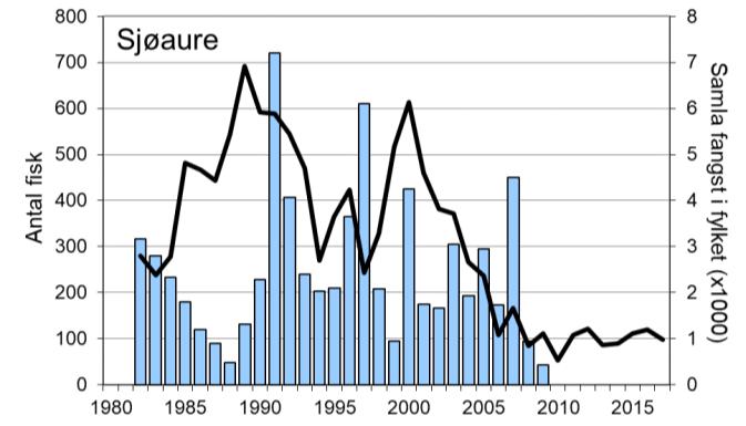 Fangsten av laks har variert mykje mellom år, rekorden er frå 1997, då det vart fanga 41 laks (figur 1, stolpar). I 2017 vart det fanga 29 laks (snittvekt 4,3 kg), den høgaste fangsten sidan 2008.