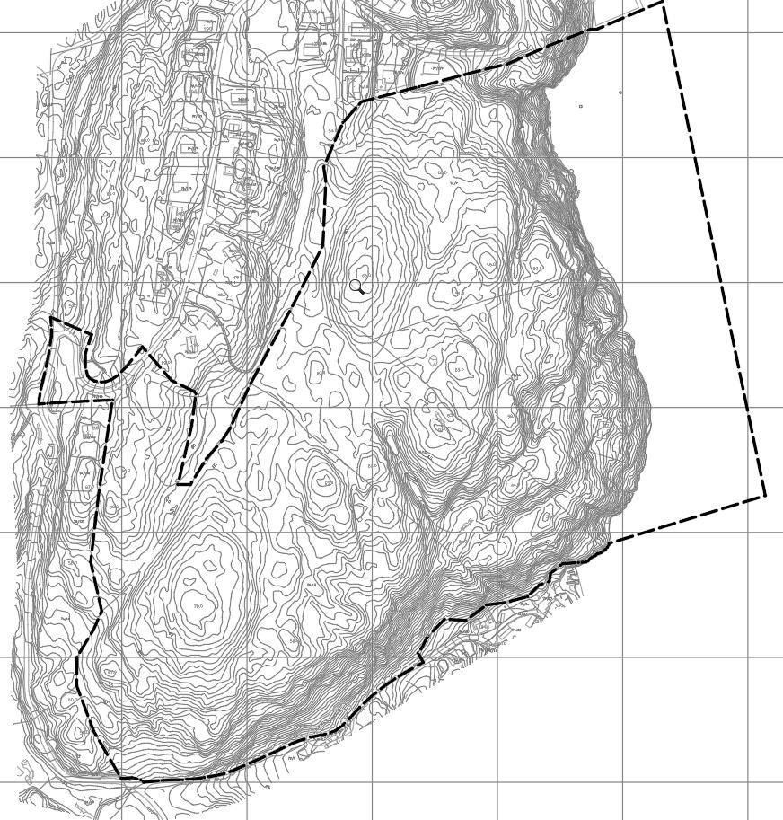 3. Formålet med planen. Formålet med planleggingen er å tilrettelegge for fritidsbebyggelse med tilhørende bryggeanlegg. Det planlegges kjøreatkomst til fritidsboligene. Bryggene får gangatkomst. 4.