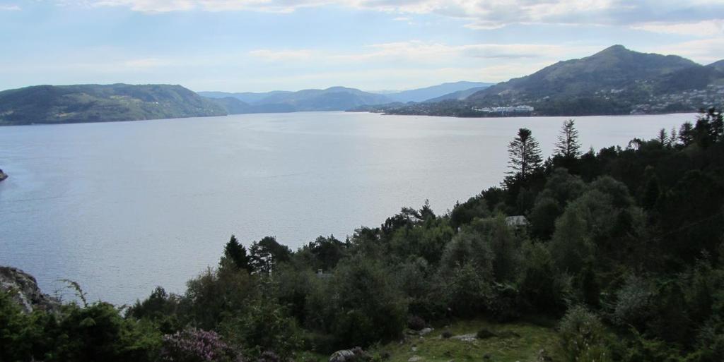 6.2 DELOMRÅDE 2 OSTERFJORDEN Figur 25. Utsikt søraustover mot Osterøy og Hordvik, bilete teke ved Hagelsundlia. Figur 26. Eng ved Rotemyra.