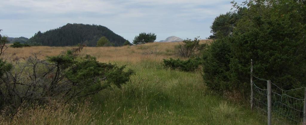 Det er gode siktforbindelsar over fjorden frå Hagelsundet mot Osterøy og Hordvik i søraust.