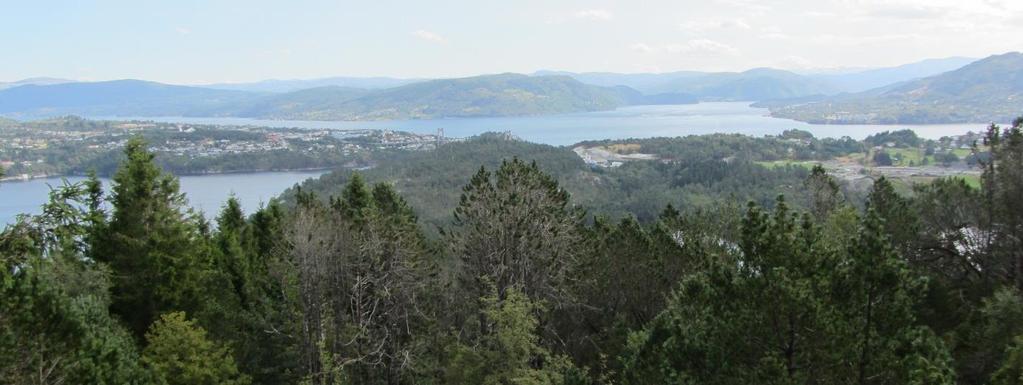 nordaustover mot Isdalstø.