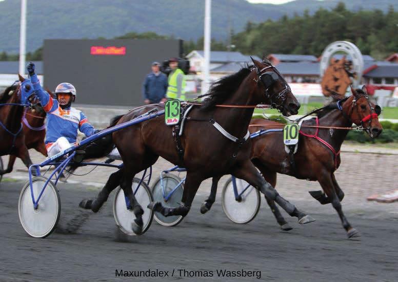 Maxundalex ble kåret til månedens hest for mai måned i 2019 på Bergen Travpark. Han startet hele fire ganger, noe som endte med to seire og to andreplasser.