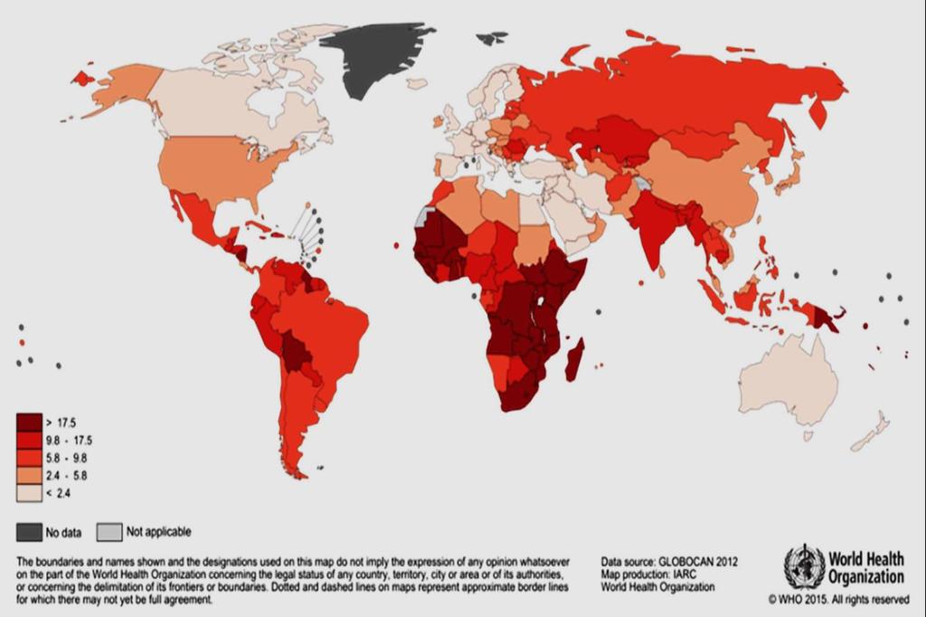 1.3 mill tilfeller i 2069 83 land har HPV vaksine i program Global vaksinasjonsdekning jenter/