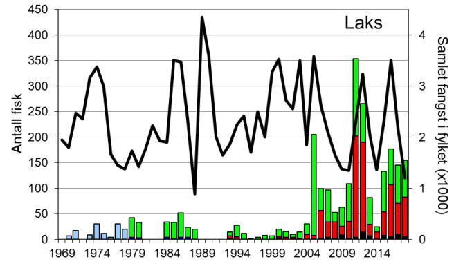 Skjel 2018 FANGST OG SKJELPRØVAR I USKEDALSELVA Fangststatistikk I perioden 1969-2004 vart det i gjennomsnitt fanga 20 laks per år (figur 1, stolpar).