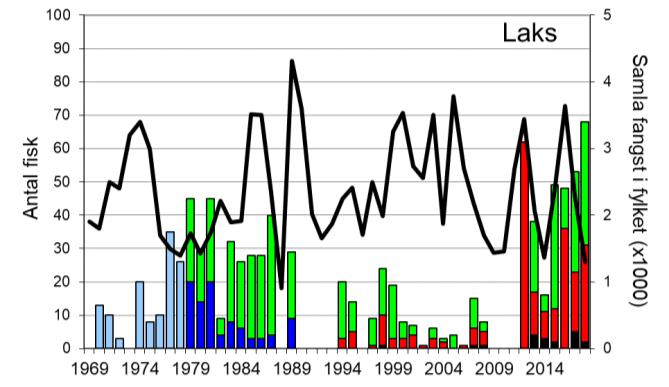 Skjel 2018 FANGST OG SKJELPRØVAR I OMVIKELVA Fangststatistikk I perioden 1969-1989 vart det i gjennomsnitt fanga 24 laks og 98 sjøaure per år (figur 1, stolpar).