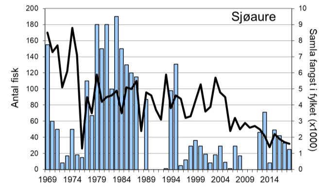 Etter at elva vart opna att for fiske i 2012, har fangstane av laks variert mellom 16 og 68 individ, medan sjøaurefangstane har variert mellom 8 og 71.