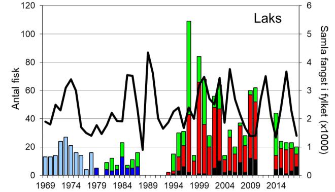 Skjel 2018 Fangststatistikk FANGST OG SKJELPRØVAR I KINSO I perioden 1969-2010 varierte laksefangstane mellom 2 og 109 individ, med eit gjennomsnitt på 28 laks per år.