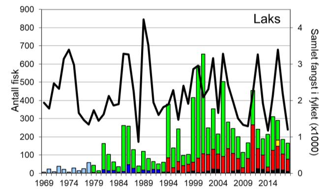 Skjel 2018 Fangststatistikk FANGST OG SKJELPRØVAR I OSELVA Gjennomsnittleg fangst av laks i perioden 1969-2018 er 175 individ (snittvekt 2,6 kg).