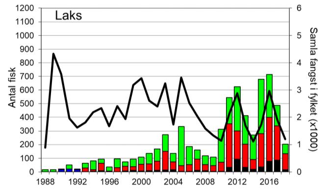 Skjel 2018 FANGST OG SKJELPRØVAR I STORELVA I ARNA Fangststatistikk I perioden 1988-2018 var gjennomsnittleg årsfangst 214 laks og 98 sjøaurar.