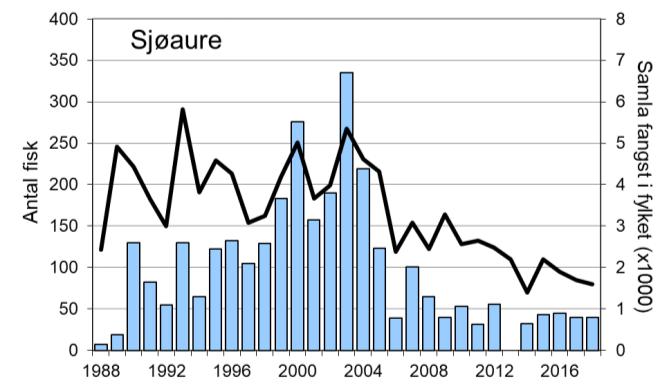 Fangsten av både laks og sjøaure variert om lag som i resten av fylket på 2000-talet (figur 1, linjer).