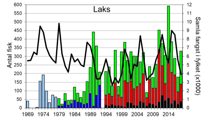 Skjel 2018 Fangststatistikk FANGST OG SKJELPRØVAR I VIKJA I perioden 1969-2018 var gjennomsnittleg årsfangst 211 laks og 26 sjøaurar.