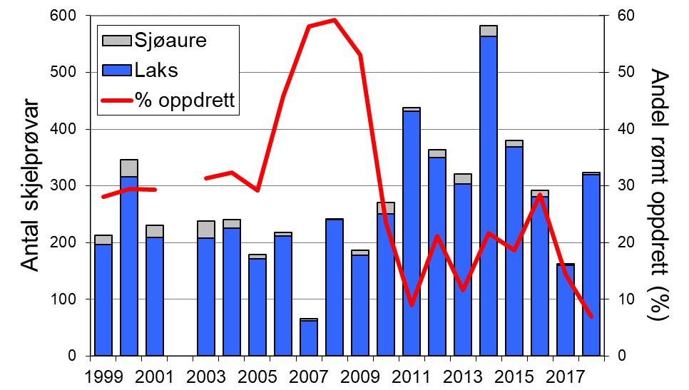 I 2017 og 2018 vart det fanga høvesvis 3 og 4 sjøaure, dei dårlegaste resultata sidan 1990-talet.