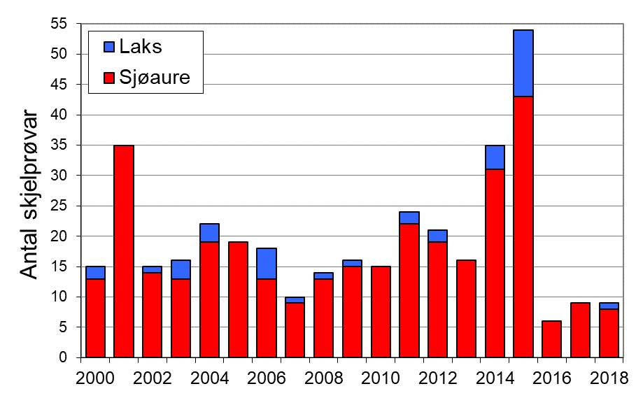 I åra 2010-18 har 8-21 % av sjøaurane vorte sett ut att i elva, med unntak av 2013, då det ikkje vart registrert gjenutsett fisk. I 2018 vart 10 sjøaure sett ut att (21 %).