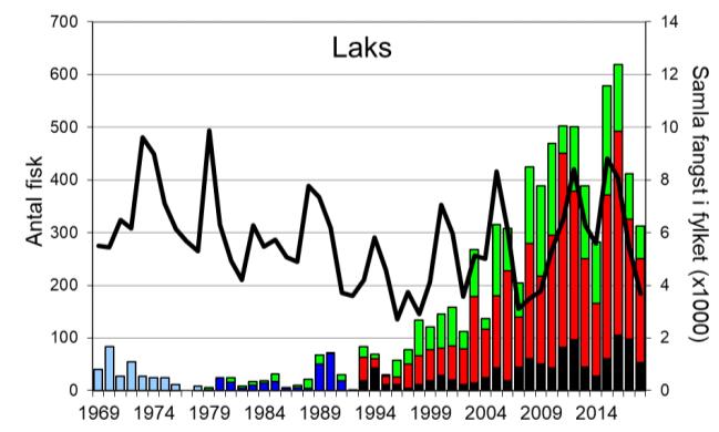 Etter rekordåret 2016 (619 laks), har fangstane gått ned att, i 2018 vart det fanga 313 laks (snittvekt 4,9 kg). Fangsten av sjøaure auka frå midt på 90-talet, men med stor mellomårsvariasjon.