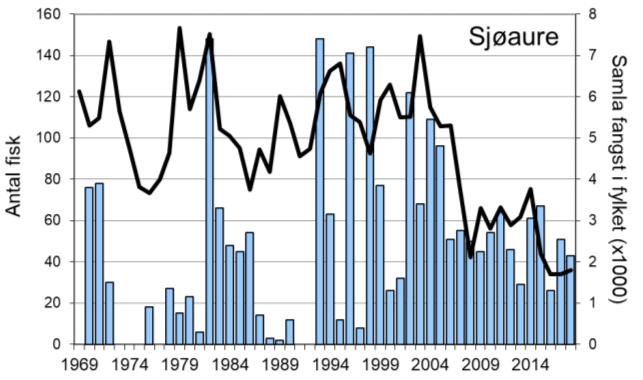 Frå tidleg på 1990-talet har mellomårsvariasjonen i laksefangstane i Flekkeelva i grove trekk vore ganske lik resten av fylket, men med ein sterkare auke i Flekkeelva frå midt på 2000-talet (figur 1,