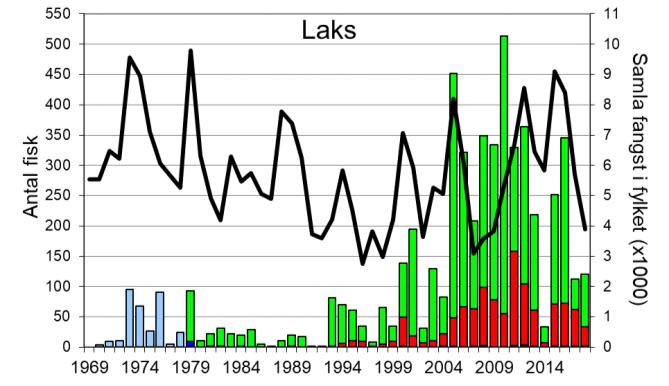 Skjel 2018 FANGST OG SKJELPRØVAR I DALSELVA I DALE Fangststatistikk I perioden 1970-1999 var gjennomsnittleg årsfangst 33 laks og 12 sjøaure, men frå tidleg på 2000- talet auka fangstane sterkt, og