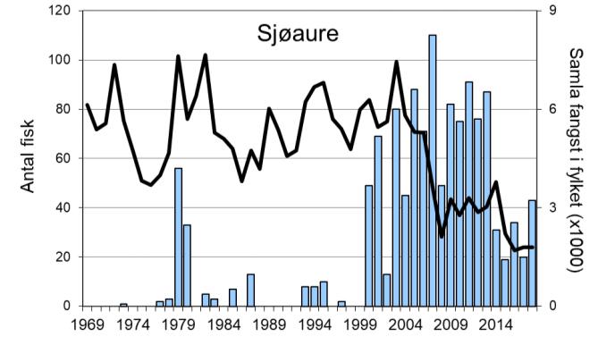 Sidan midt på 1990-talet har mellomårsvariasjonen i fangst av laks i Dalselva og resten av fylket vore ganske lik i lange periodar, men det er også fleire år med klare avvik (figur 1, linje).