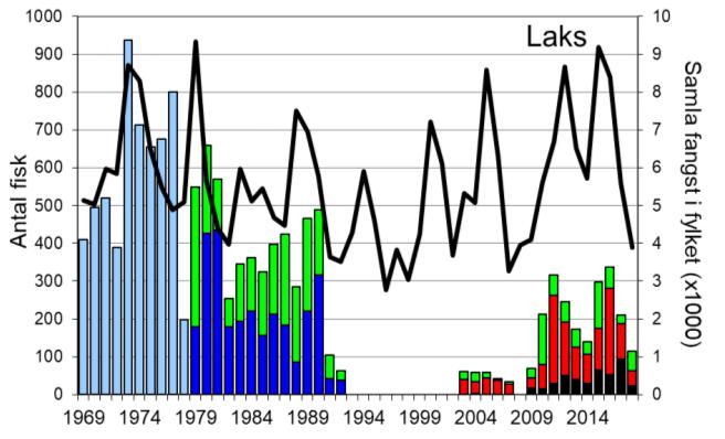Skjel 2018 Fangststatistikk FANGST OG SKJELPRØVAR I JØLSTRA I perioden 1969-1992 var gjennomsnittleg årsfangst 462 laks med snittvekt på 4,8 kg, og 387 sjøaurar med snittvekt på 1,3 kg (figur 1,