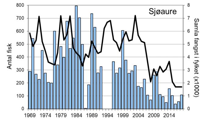 Frå og med 2009 har 73-100 % av laksen vorte sett ut att, i 2018 vart 91 % sett ut att (106 av 116 fisk). Sjøauren var freda i 1993-1995, snittfangst sidan 1996 har vore 210 sjøaure per år.