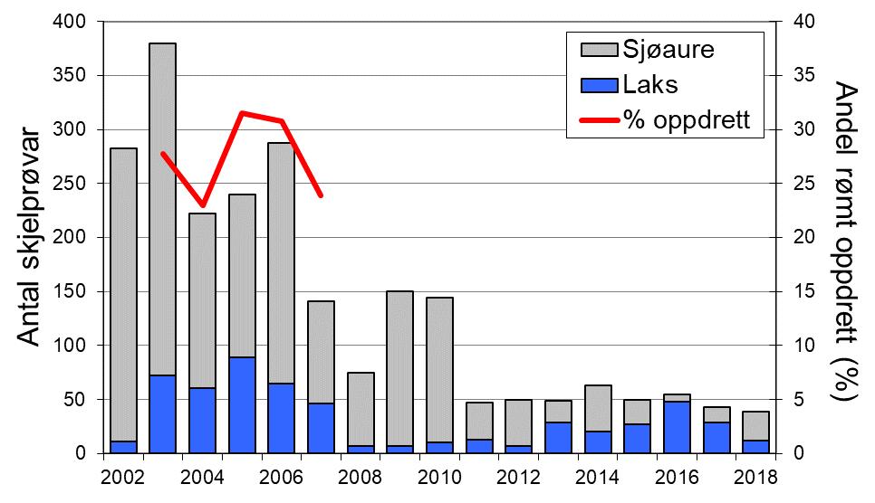 Utviklinga i sjøaurefangstane i Jølstra har i liten grad samvariert med resten av fylket (figur 1, linje). Sidan 2009 er mellom 40 og 80 % av sjøaurane sette ut att i elva, i 2018 var det 75 %.