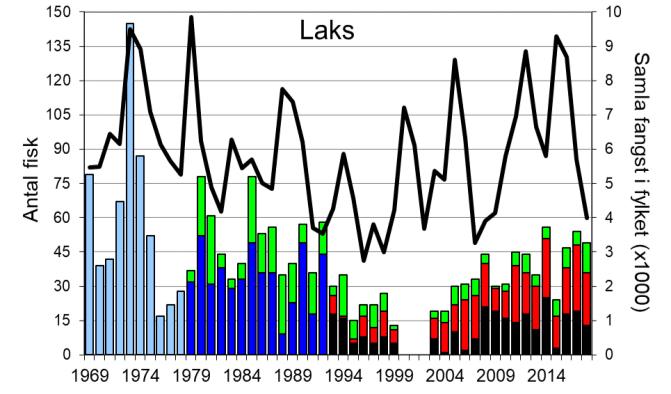 Dette er av dei betre resultata sidan 1990-talet (figur 1, stolpar). Det vart fanga 56 sjøaure i 2018 (snittvekt 2,2 kg), ein av dei lågaste fangstane sidan 1970-talet.