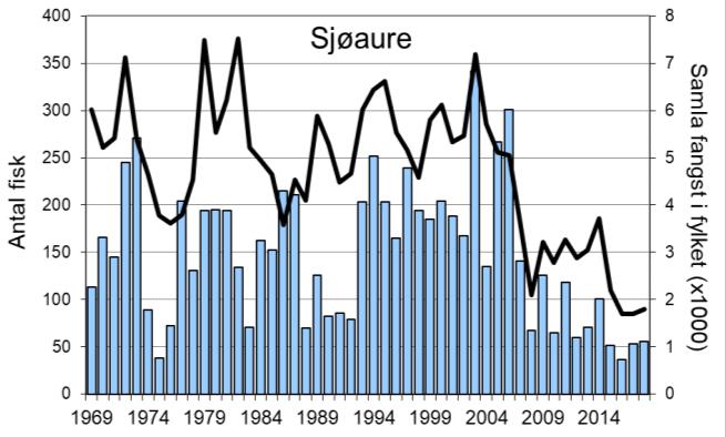 Sidan 2009 har ein del av laksane og sjøaurane vorte sette ut att i elva, i 2017 utgjorde det høvesvis 12 % og 13 % av den registrerte fangsten. FIGUR 1.