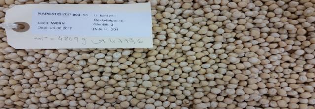 Dry-fractionation Facilitating protein concentrates from legumes