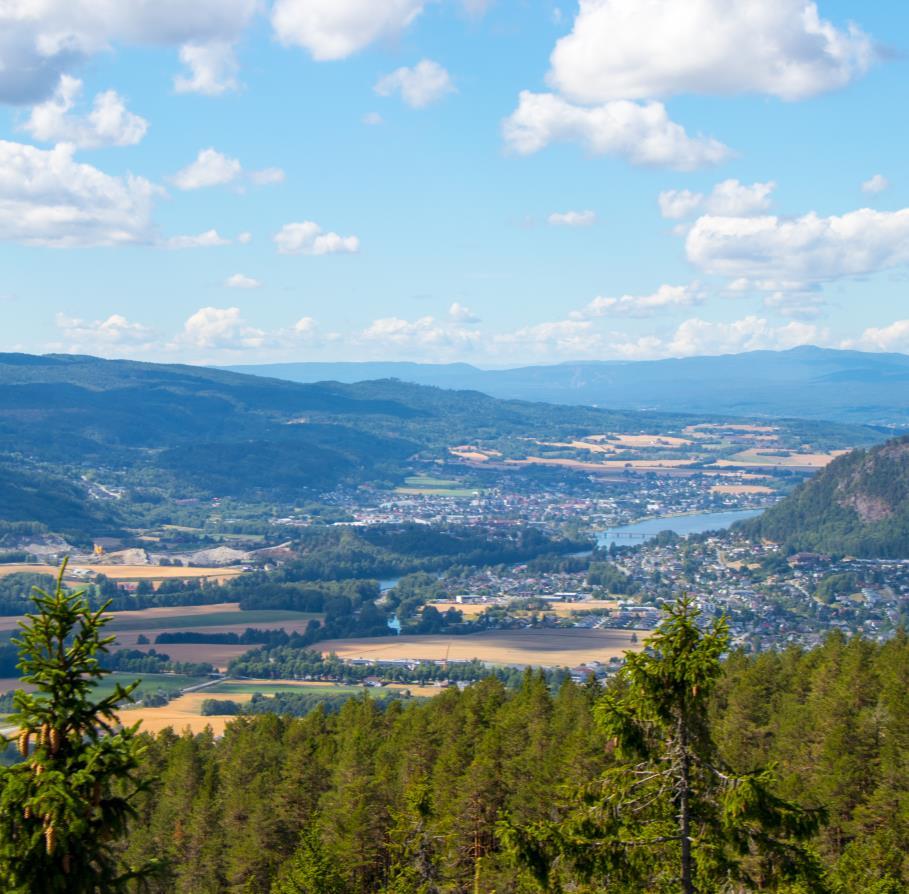 Økonomiske forutsetninger og handlingsregler Drammen kommune skal ha en fondsreserve på minst tre prosent av brutto