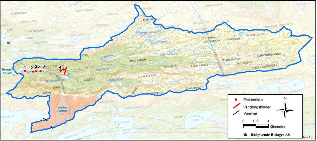 VASSDRAGBESKRIVELSE Bortneelva (vassdrag-nr. 086.3Z, figur 1) har utløp i Bortnepollen i Bremanger kommune. Den lakseførende strekning er omtrent 2,2 kilometer.