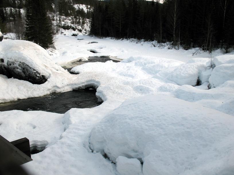 Vanntemperaturen i Skogsåa faller til frysepunktet i november og elva islegges. Isløsningen er normalt i april. I milde vintre kan issesongen være kortere. Fig.