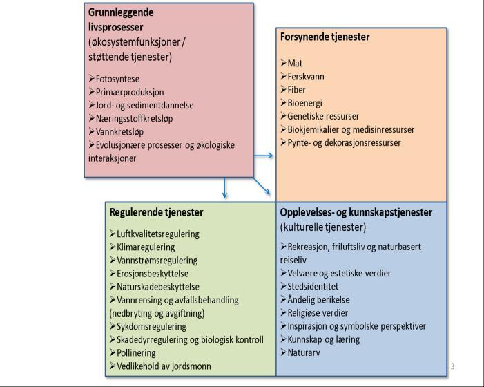 ØKOSYSTEMTJENESTER I HENHOLD TIL NOU 2013:10 Eksempler på hvilke økosystemtjenester vi får fra natur: NB: Både bruks- og ikke-bruksverdier - Rekreasjon - Helsevirkninger (mer