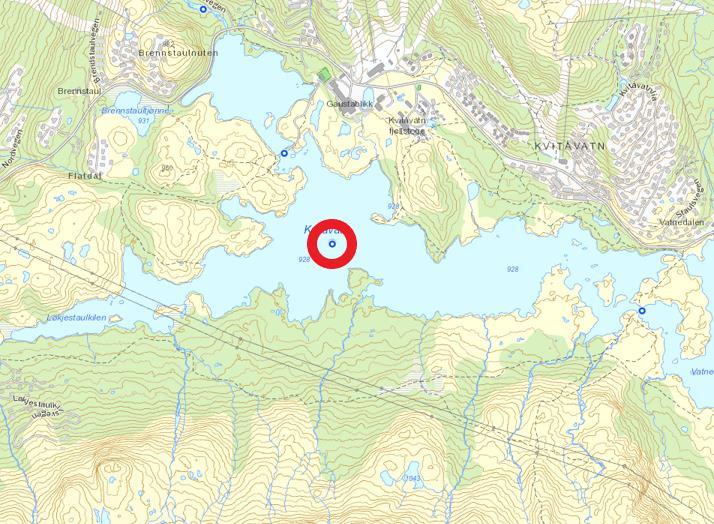 Kvitåvatn Vann-nett id/ 016-12294-L Dato/er 25.6/16.8/13.9 Norsk Vanntypenr.