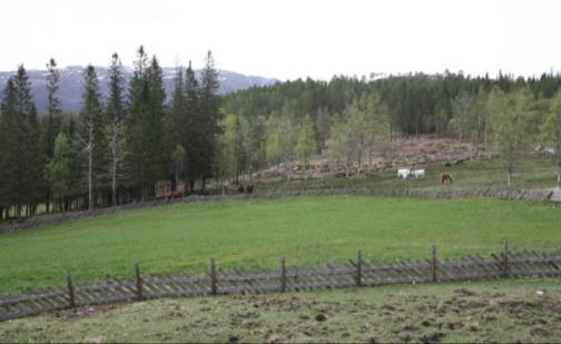 Det kan søkes tilskudd til etablering, restaurering, utbedring og skjøtsel av områder og landskapselementer.