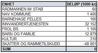 Innvandrertjenesten Lokal omlegging av finansiering, tilskudd