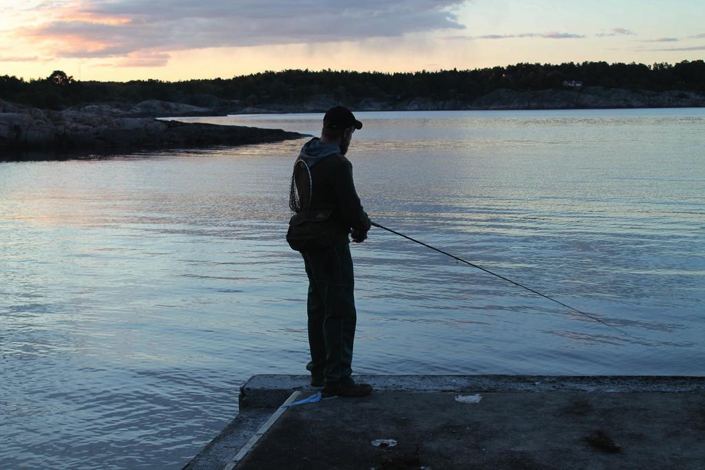 The social-ecological value of recreational fishing for sea trout; - PDF  Gratis nedlasting