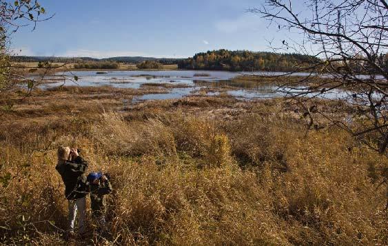 Ornitologiske registreringer ved Hæravassdraget, Trøgstad i 2010 Atle Haga, Bjørn Aksel Bjerke og Johnny Steen Oda og Jørgen Bjerke ved Hersætersjøen 7 oktober 2010 Bakgrunn Hæra naturreservat i