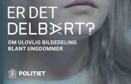 Tre av fem skoler la til rette for dette Områdeavtaler: Ett annet spørsmål politiansatte fikk var hvorvidt det var inngått områdeavtaler, dvs avtaler hvor russen hadde mulighet til å oppholde seg i