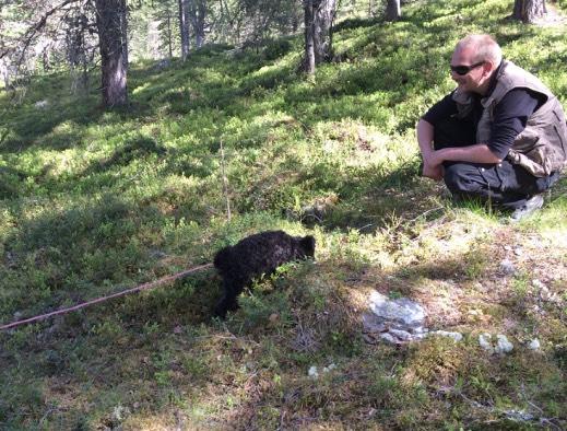 Sau, spor og rally på Lemonsjøen Av Kirsten Flagstad Det kan hende vi hadde tatt litt vel mye Møllers tran, Ann og jeg, da vi planla den aller første KUR-uka.