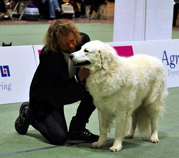 BIS Kuvasz NO SE UCH NV-14 NORDV-14 Sorschies Szép Jenci Puli Loncsosi-Bator Arad Pumi SE V-07 NORD UCH KBH V-08 C.I. Mariell De Marque A-Lagets Allwin Komondor N DK SE UCH DKV-13 NV-!